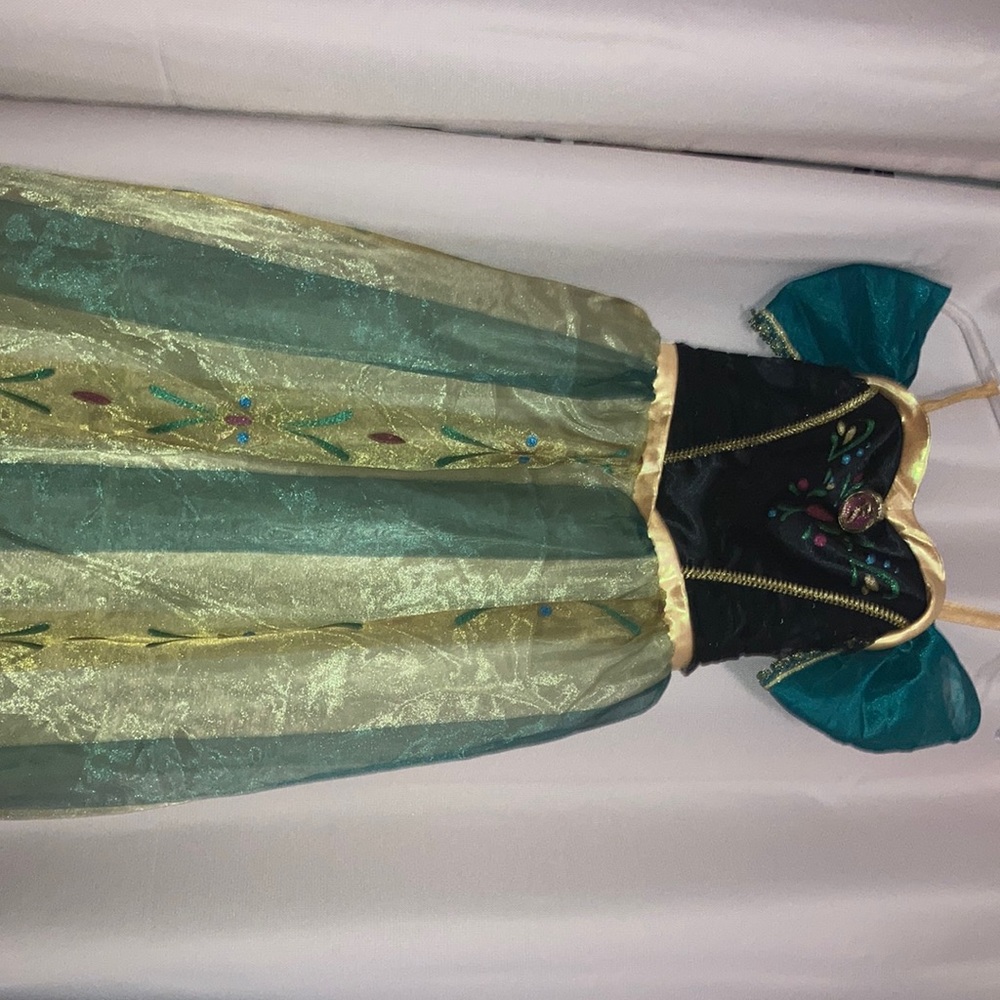 Princess Anna Dress (Disney's Frozen) Costume